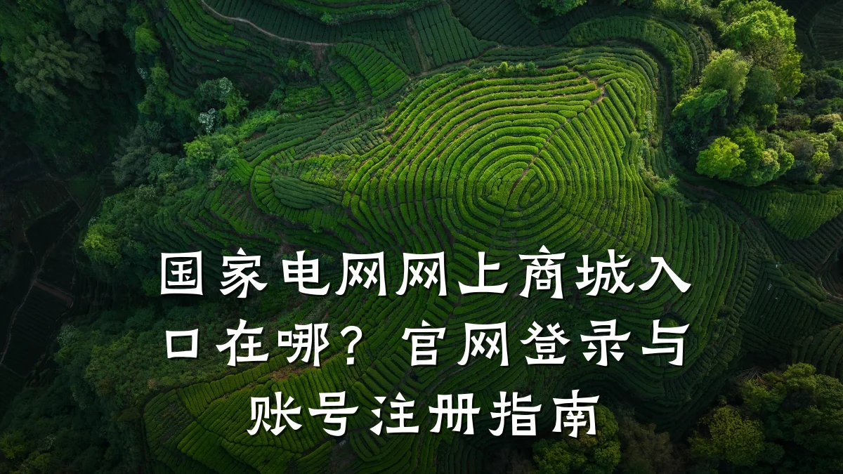 国家电网网上商城入口在哪?官网登录与账号注册指南