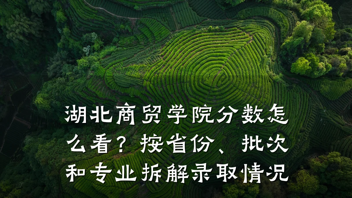 湖北商贸学院分数怎么看?按省份、批次和专业拆解录取情况