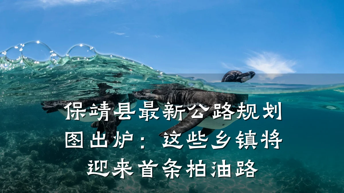 保靖县最新公路规划图出炉：这些乡镇将迎来首条柏油路