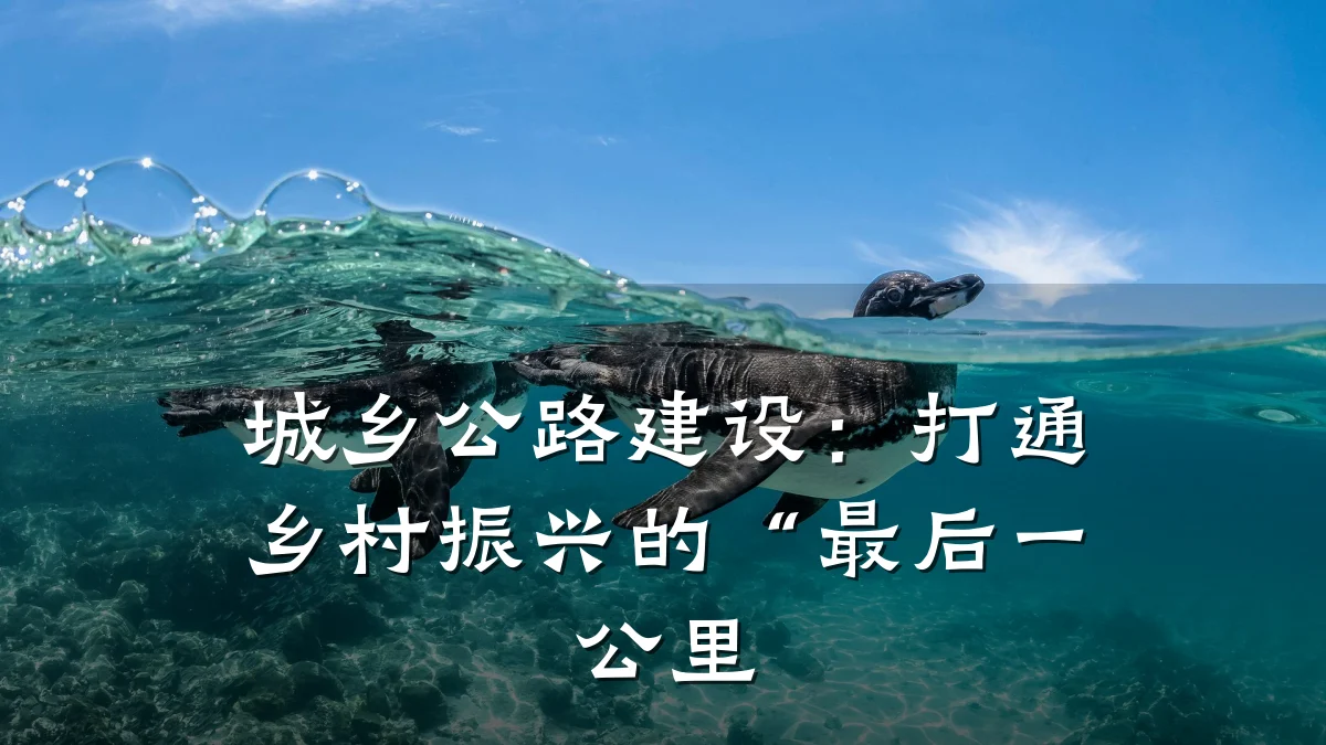 城乡公路建设:打通乡村振兴的“最后一公里