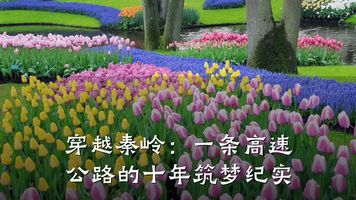 穿越秦岭:一条高速公路的十年筑梦纪实