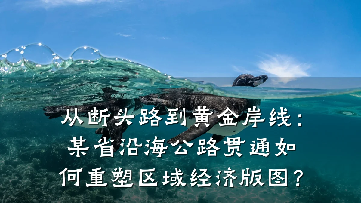 从断头路到黄金岸线：某省沿海公路贯通如何重塑区域经济版图？