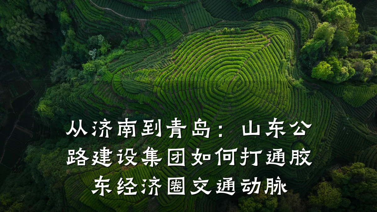从济南到青岛:山东公路建设集团如何打通胶东经济圈交通动脉