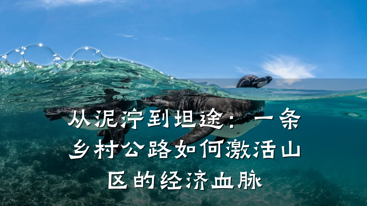 从泥泞到坦途:一条乡村公路如何激活山区的经济血脉
