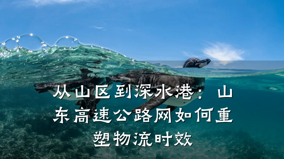 从山区到深水港：山东高速公路网如何重塑物流时效