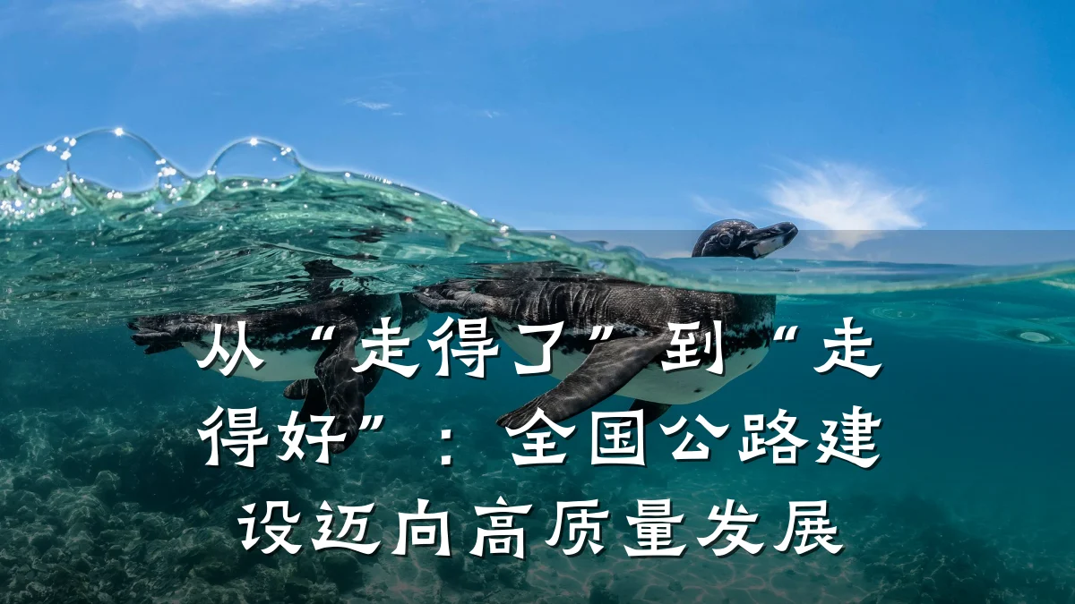 从“走得了”到“走得好”:全国公路建设迈向高质量发展