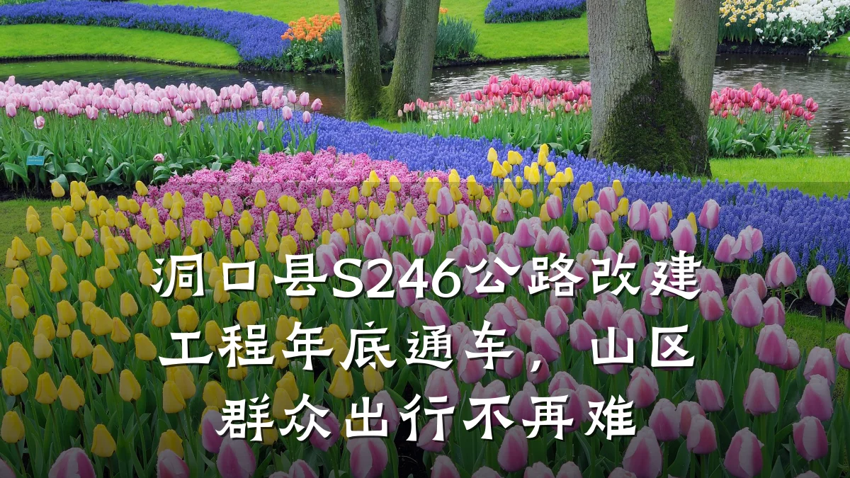 洞口县S246公路改建工程年底通车,山区群众出行不再难