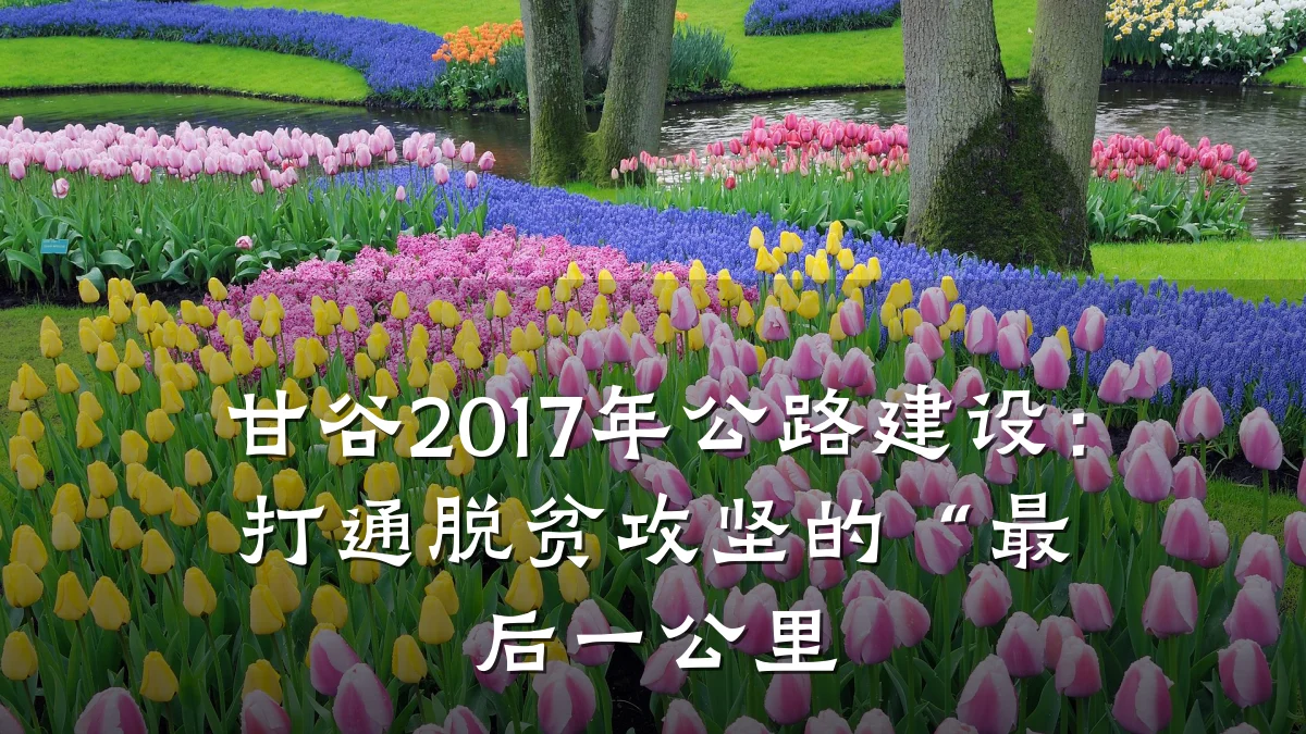 甘谷2017年公路建设：打通脱贫攻坚的“最后一公里