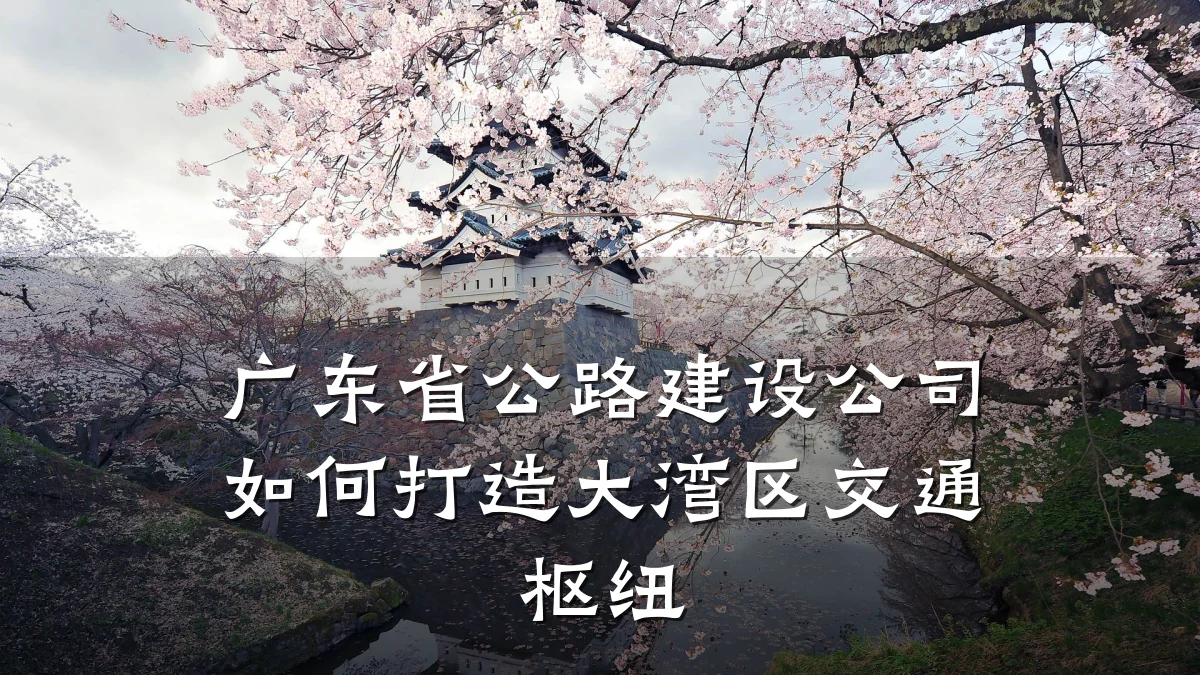 广东省公路建设公司如何打造大湾区交通枢纽