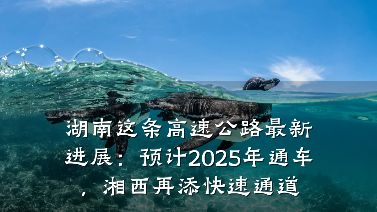湖南这条高速公路最新进展:预计2025年通车,湘西再添快速通道