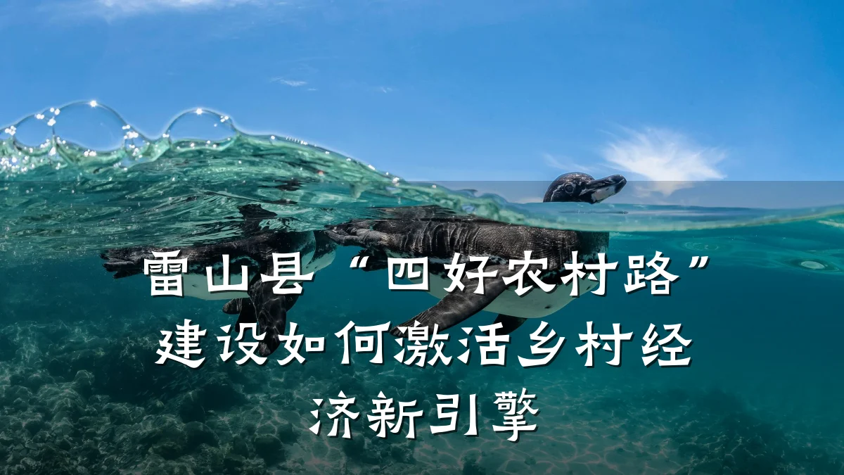 雷山县“四好农村路”建设如何激活乡村经济新引擎