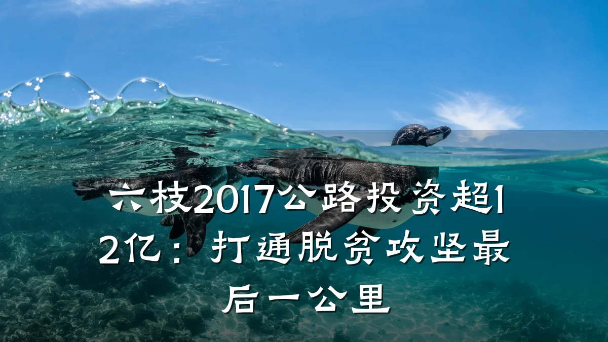 六枝2017公路投资超12亿:打通脱贫攻坚最后一公里