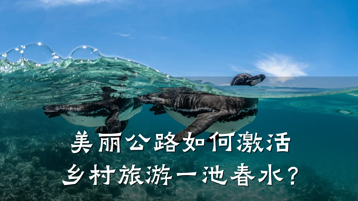 美丽公路如何激活乡村旅游一池春水?