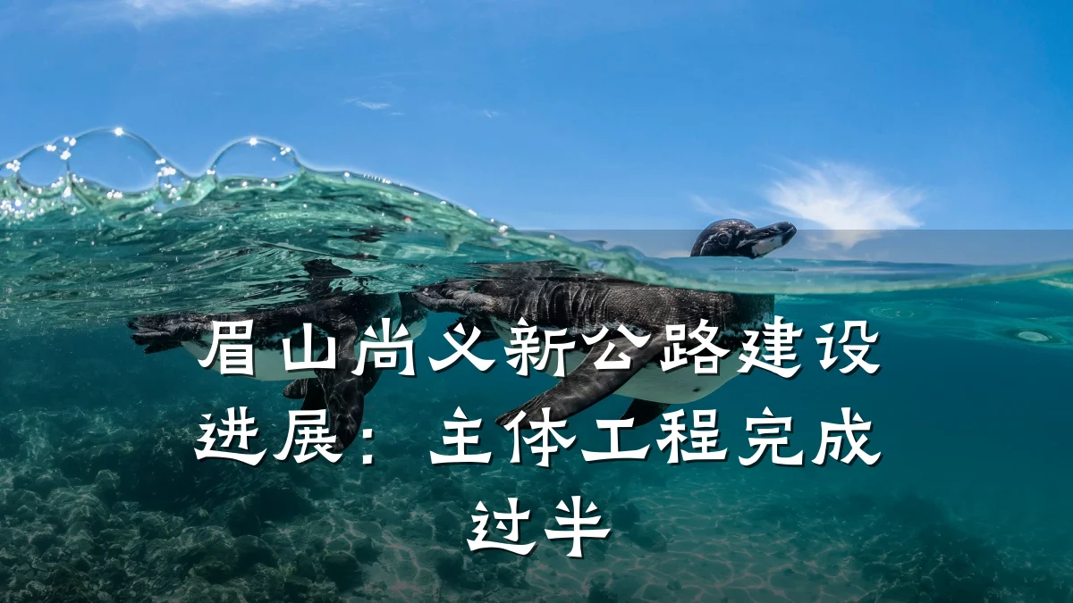 眉山尚义新公路建设进展:主体工程完成过半