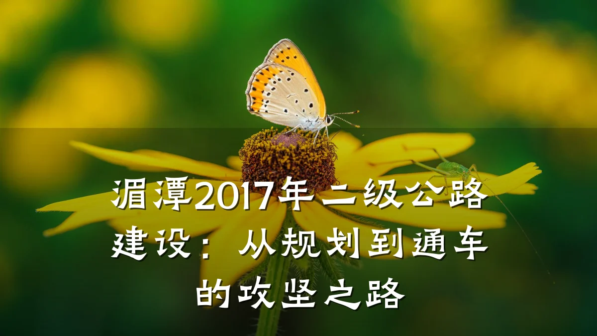 湄潭2017年二级公路建设：从规划到通车的攻坚之路