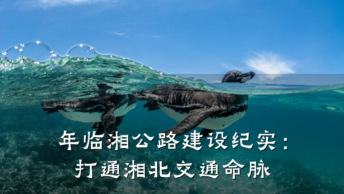 年临湘公路建设纪实:打通湘北交通命脉