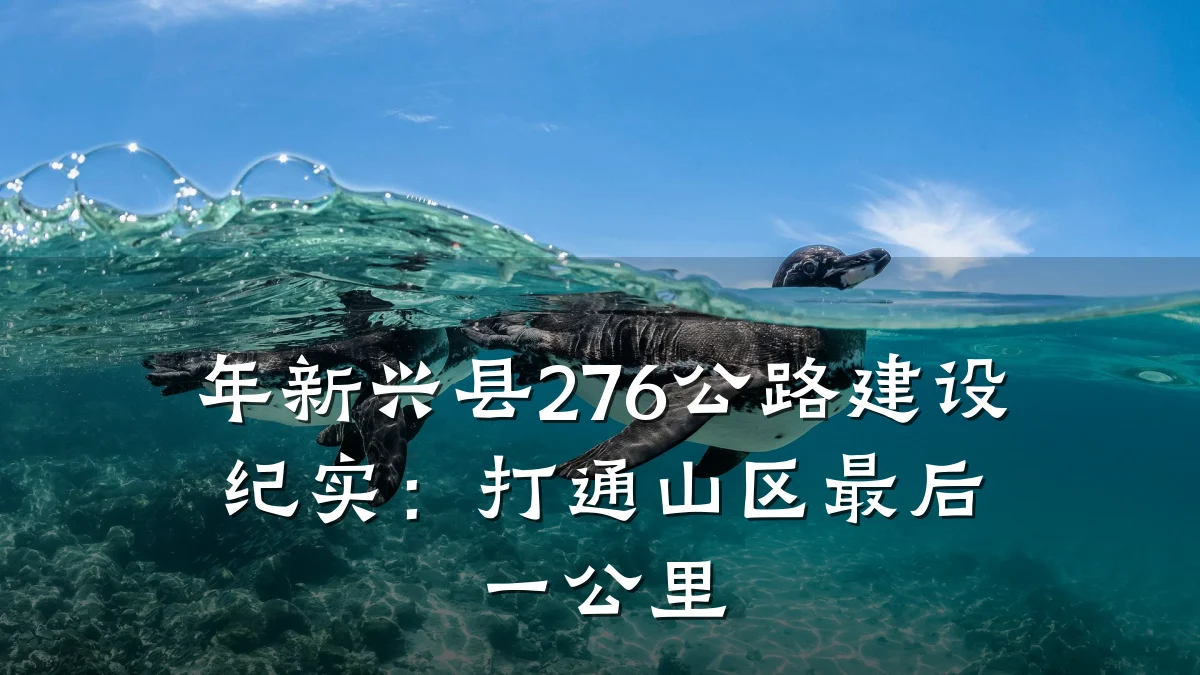 年新兴县276公路建设纪实:打通山区最后一公里