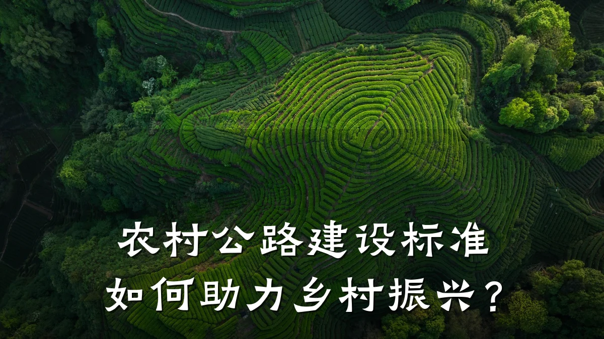农村公路建设标准如何助力乡村振兴？