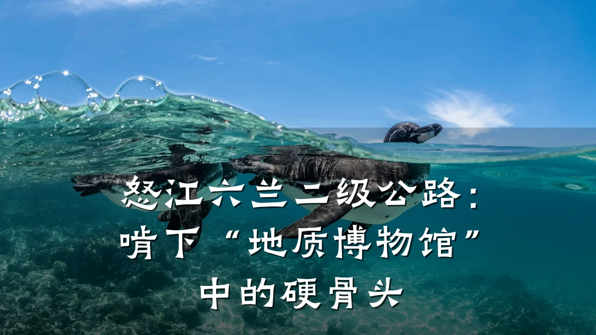 怒江六兰二级公路:啃下“地质博物馆”中的硬骨头