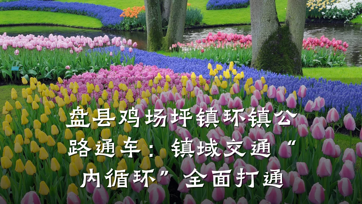 盘县鸡场坪镇环镇公路通车:镇域交通“内循环”全面打通