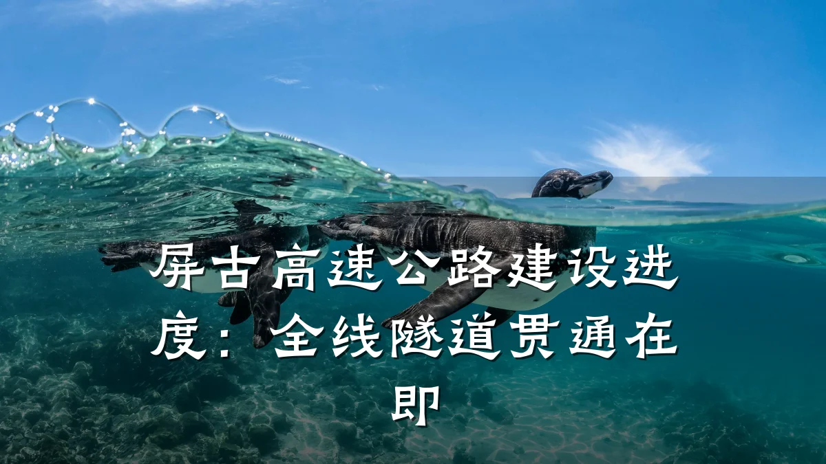 屏古高速公路建设进度:全线隧道贯通在即