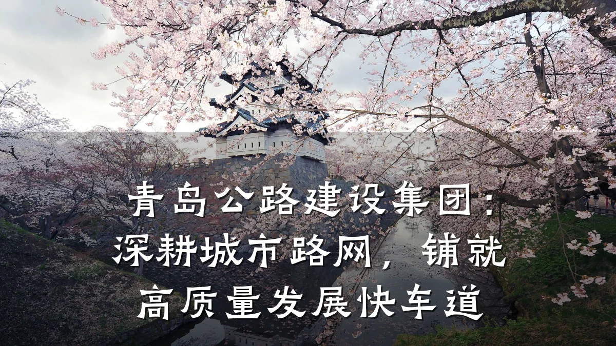 青岛公路建设集团：深耕城市路网，铺就高质量发展快车道