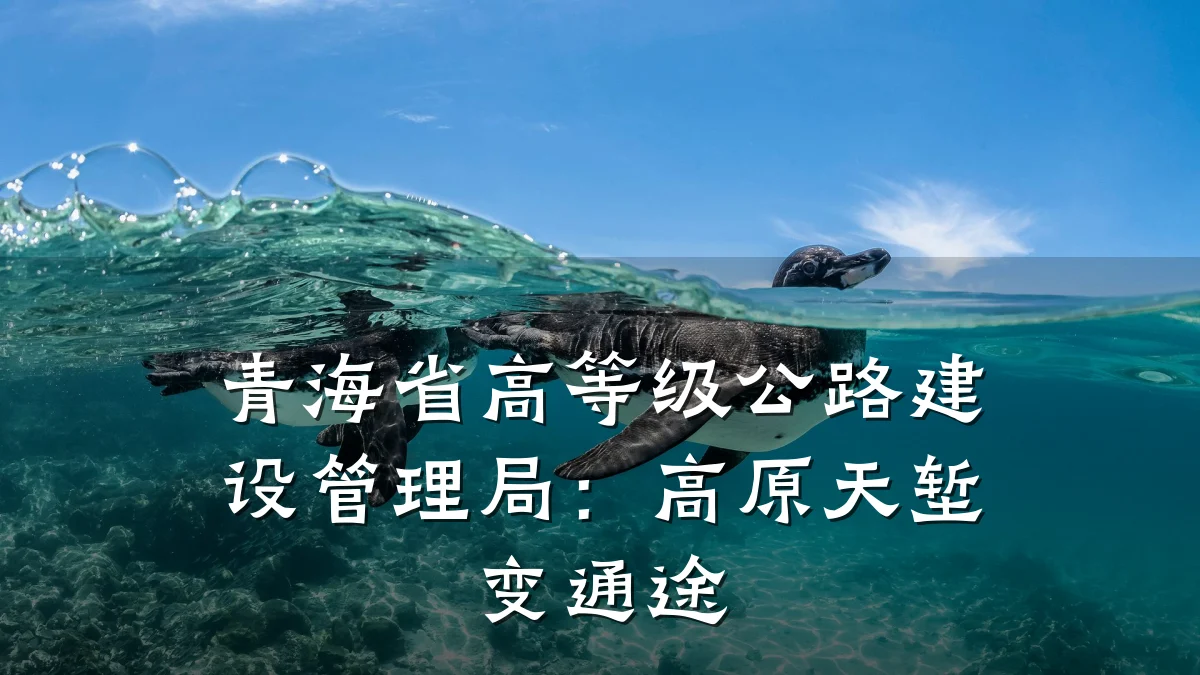 青海省高等级公路建设管理局:高原天堑变通途
