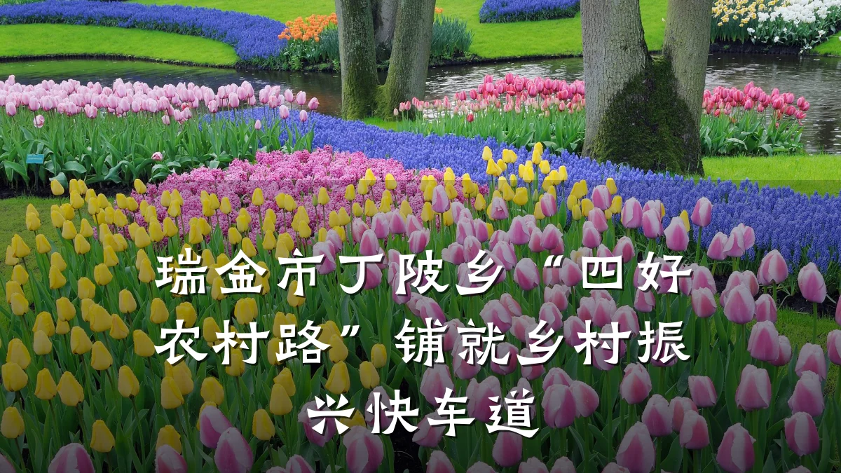 瑞金市丁陂乡“四好农村路”铺就乡村振兴快车道