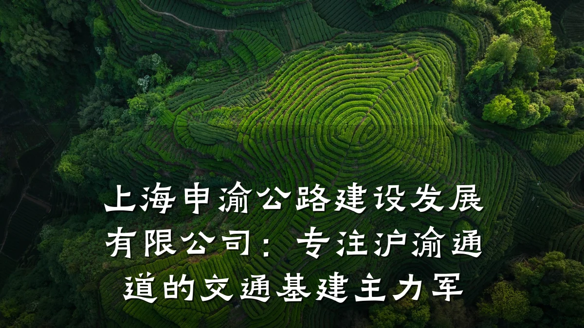 上海申渝公路建设发展有限公司：专注沪渝通道的交通基建主力军