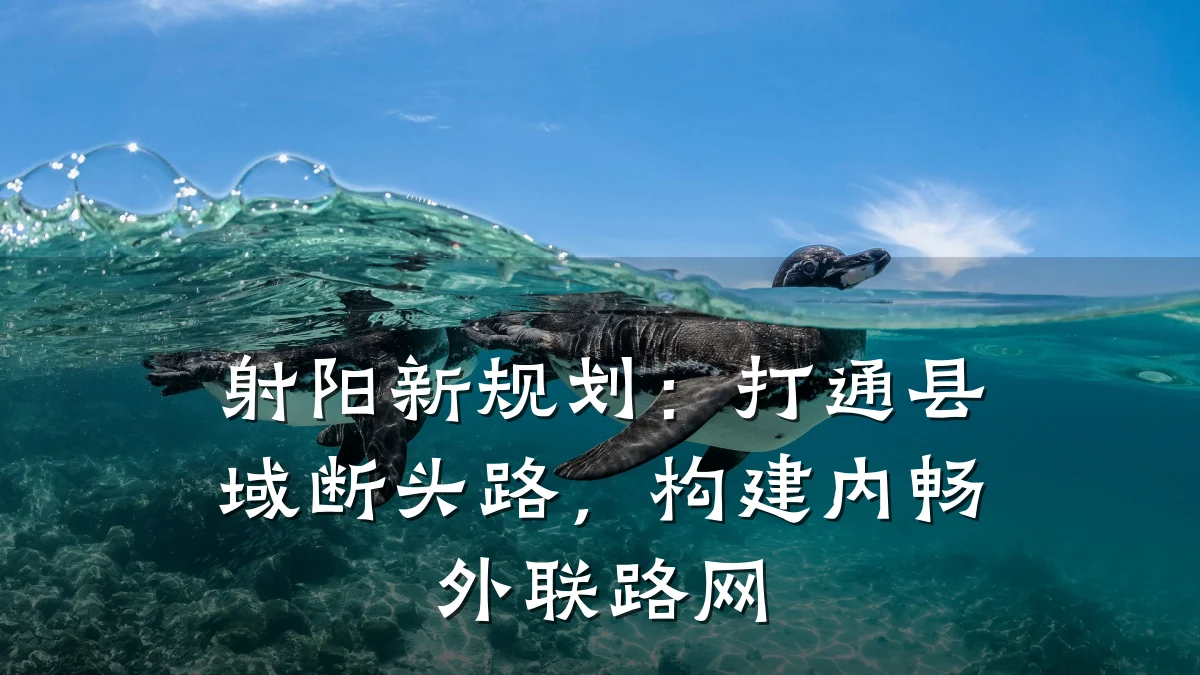射阳新规划:打通县域断头路,构建内畅外联路网