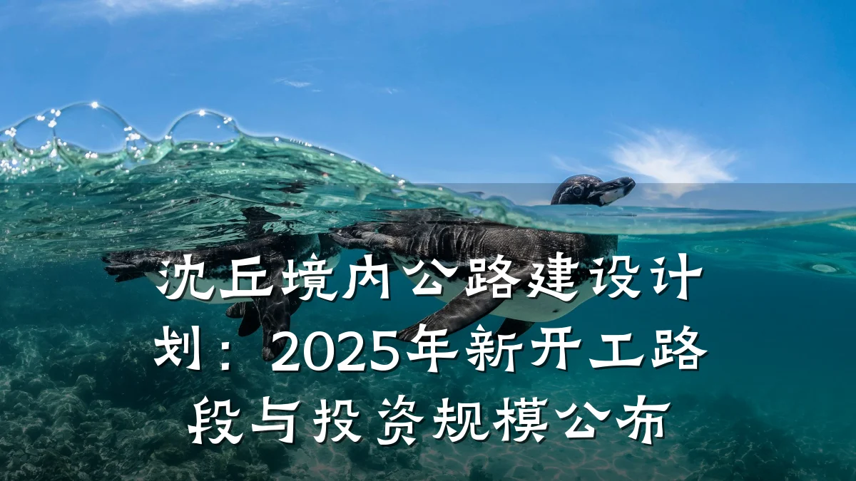 沈丘境内公路建设计划:2025年新开工路段与投资规模公布