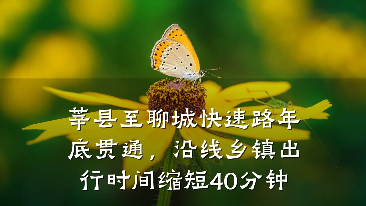 莘县至聊城快速路年底贯通,沿线乡镇出行时间缩短40分钟