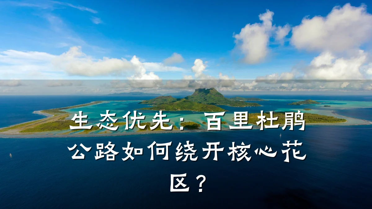 生态优先:百里杜鹃公路如何绕开核心花区?