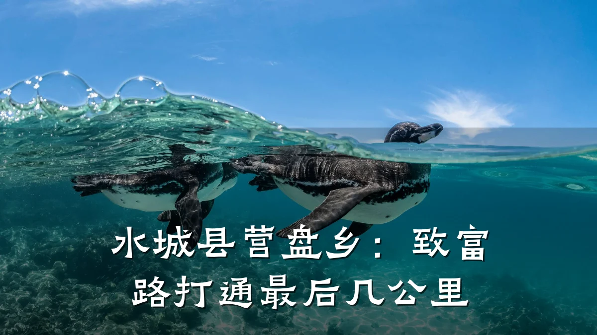 水城县营盘乡：致富路打通最后几公里