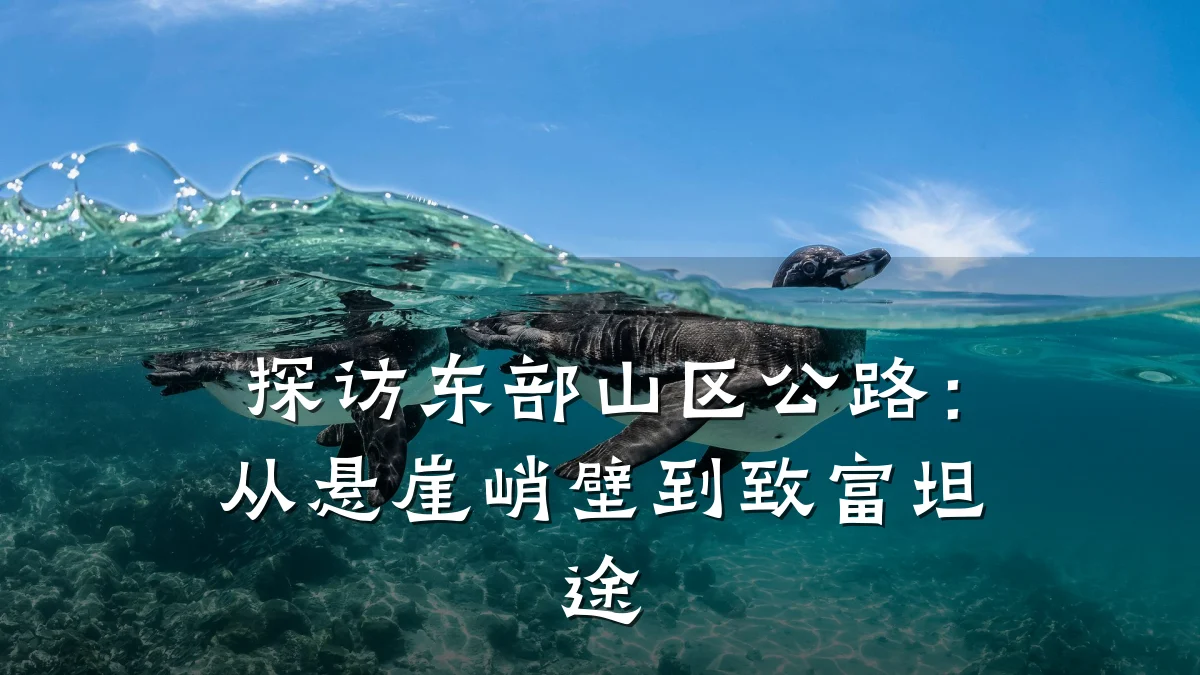 探访东部山区公路:从悬崖峭壁到致富坦途