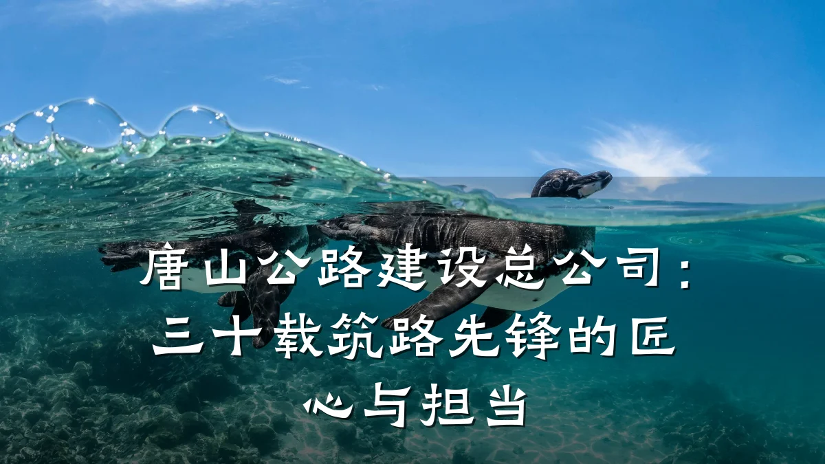 唐山公路建设总公司：三十载筑路先锋的匠心与担当