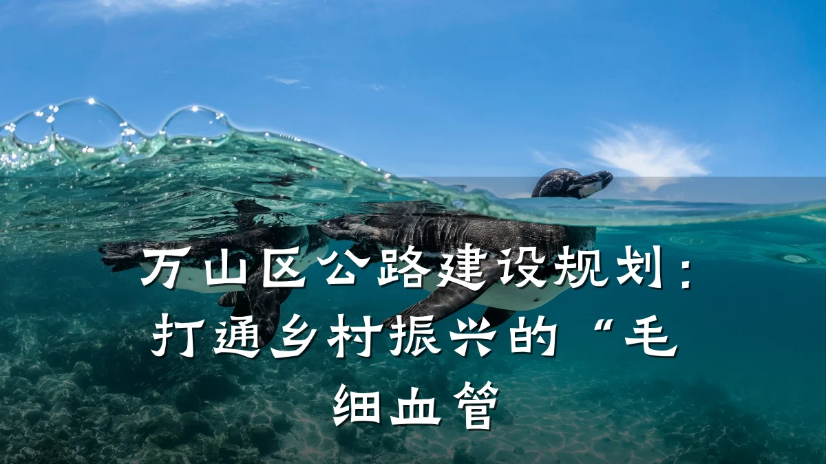 万山区公路建设规划:打通乡村振兴的“毛细血管
