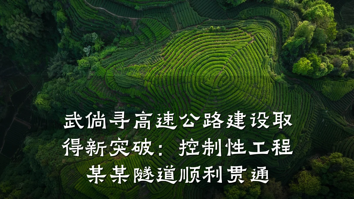 武倘寻高速公路建设取得新突破:控制性工程某某隧道顺利贯通
