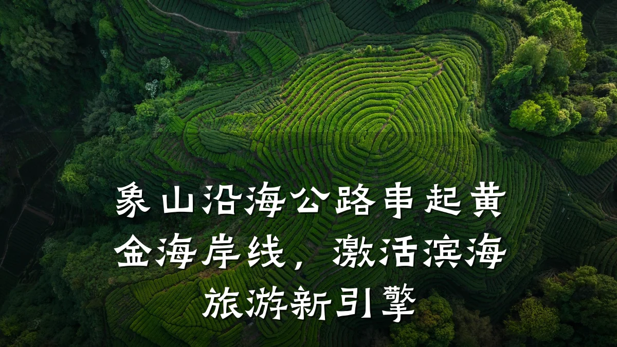 象山沿海公路串起黄金海岸线，激活滨海旅游新引擎