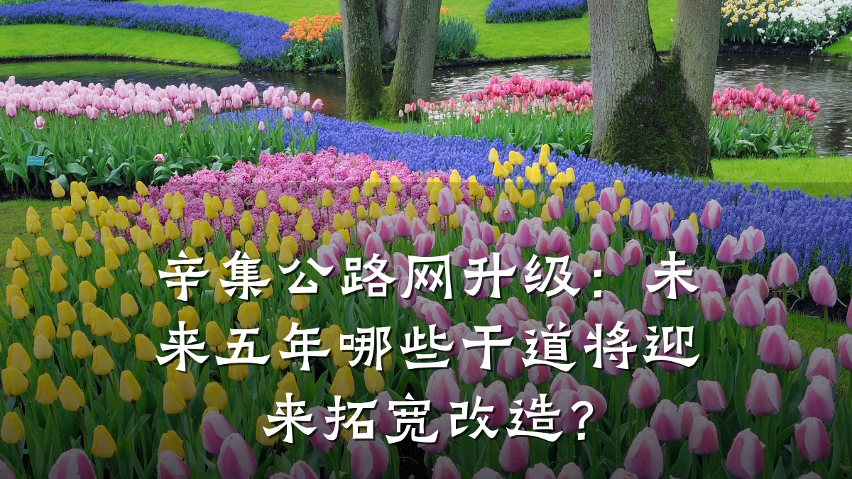 辛集公路网升级：未来五年哪些干道将迎来拓宽改造？