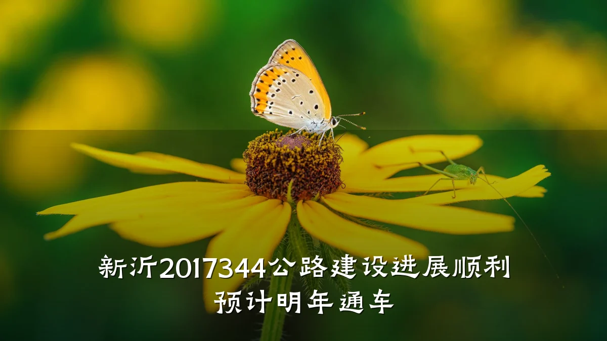 新沂2017344公路建设进展顺利 预计明年通车