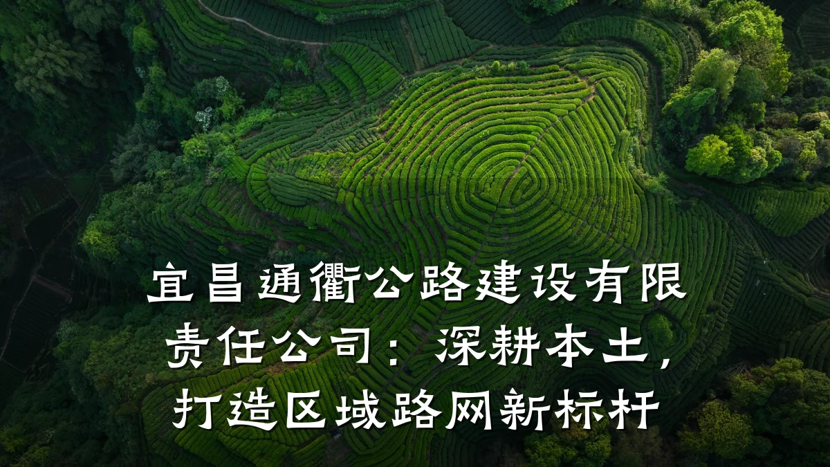 宜昌通衢公路建设有限责任公司:深耕本土,打造区域路网新标杆