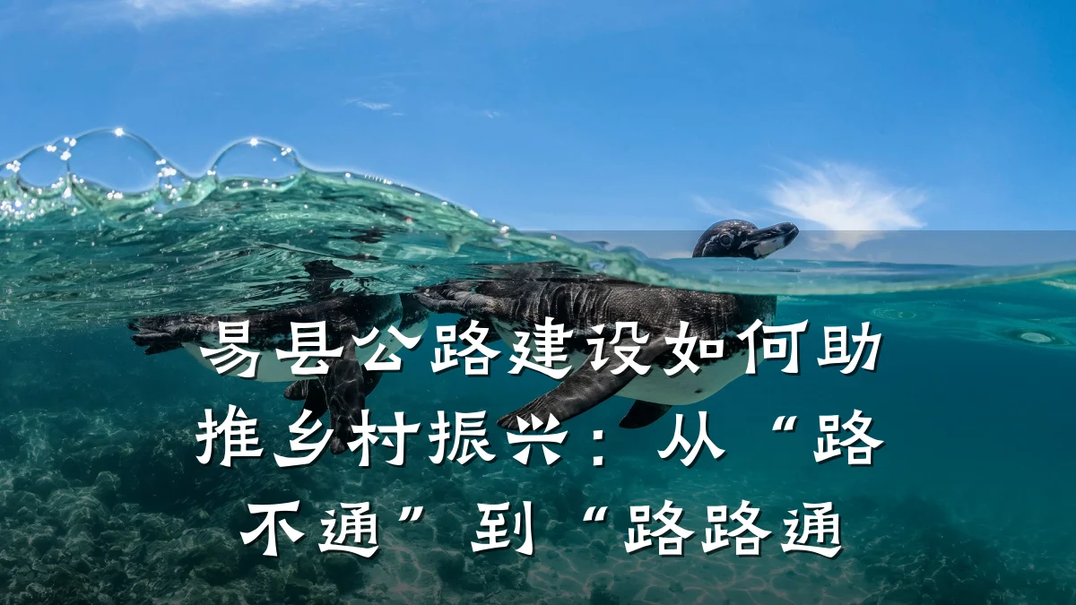 易县公路建设如何助推乡村振兴:从“路不通”到“路路通