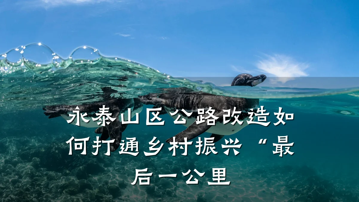 永泰山区公路改造如何打通乡村振兴“最后一公里