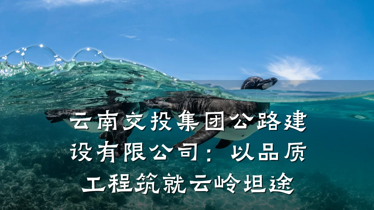 云南交投集团公路建设有限公司：以品质工程筑就云岭坦途