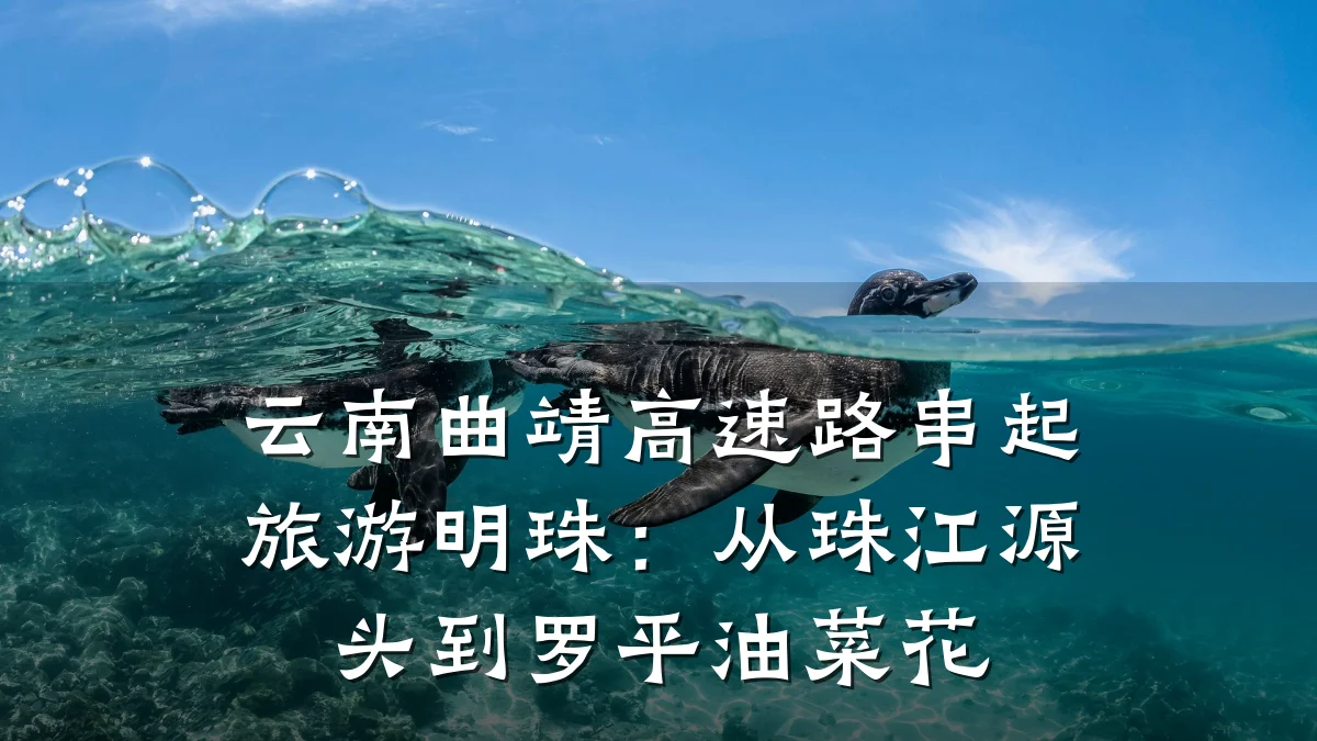 云南曲靖高速路串起旅游明珠：从珠江源头到罗平油菜花