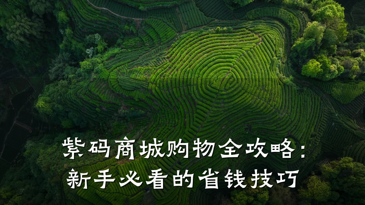 紫码商城购物全攻略:新手必看的省钱技巧