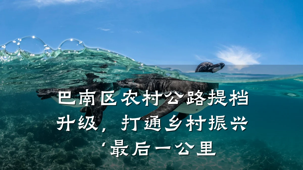 巴南区农村公路提档升级，打通乡村振兴‘最后一公里
