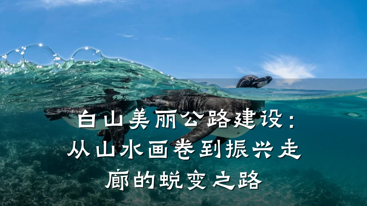 白山美丽公路建设:从山水画卷到振兴走廊的蜕变之路