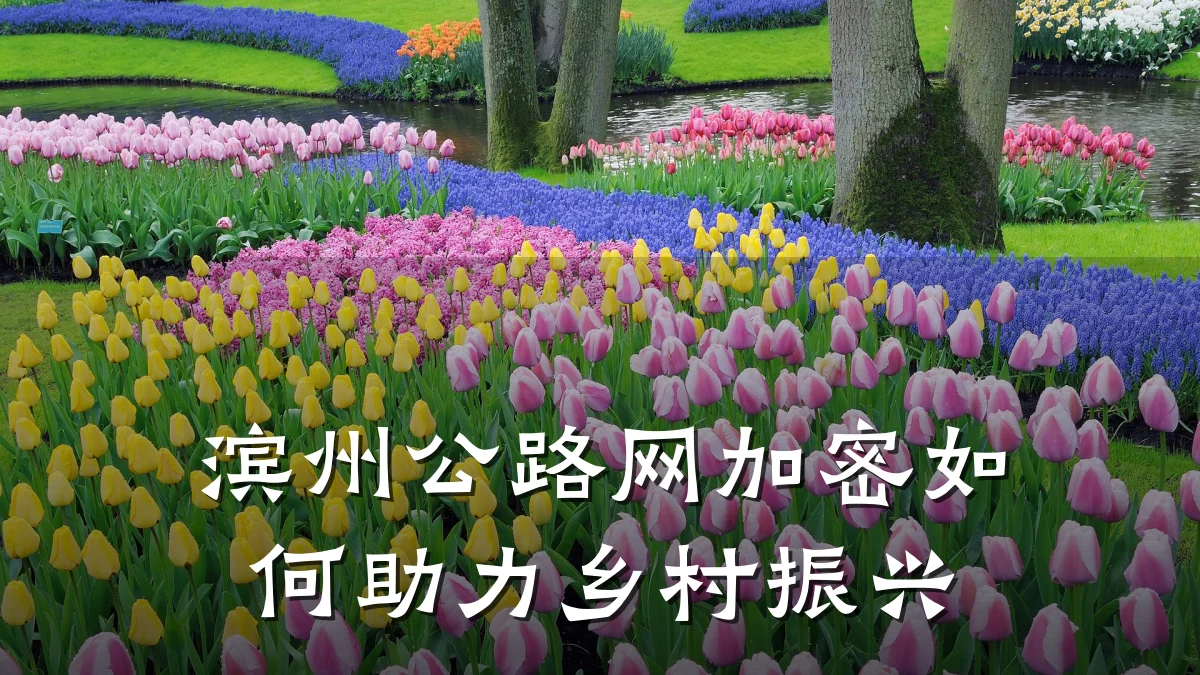 滨州公路网加密如何助力乡村振兴